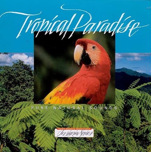 Tropical Paradise