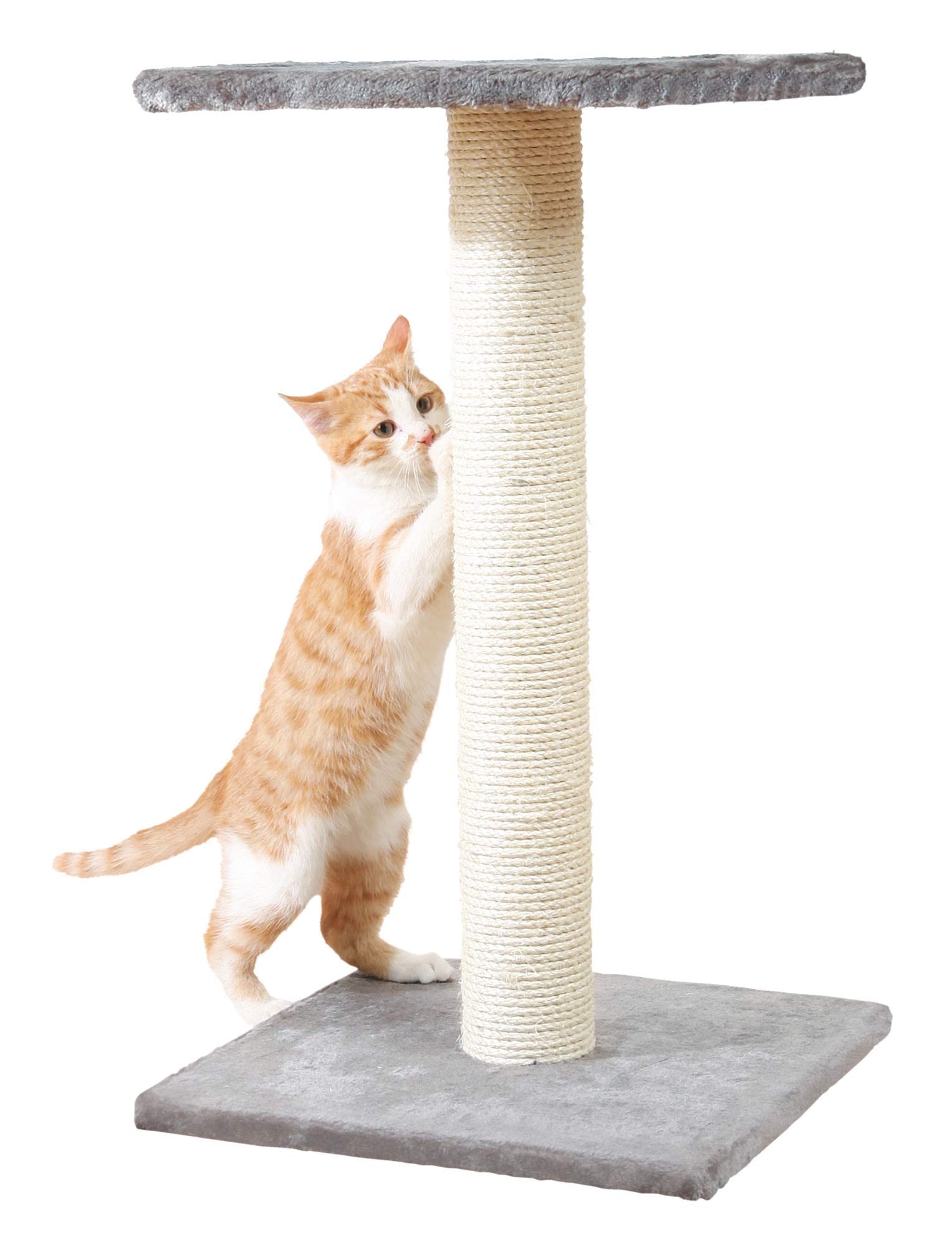 Trixie Espejo Scratching Post Board for Cats: Durable Sisal, Supports Claw Care, Keeps Kitty Active & Playful, Cat Scratcher Toy – (Floor Area: 40 x 40 cm; Post: Ø 9 cm) (B09P6MVSGN) Amazon Price History, Amazon Price Tracker