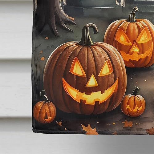 Miniatura 146 de Caroline's Treasures DAC2011GF - Bandera decorativa para jardín de Halloween con diseño de beagle para jardín, jardín, jardín, jardín, multicolor