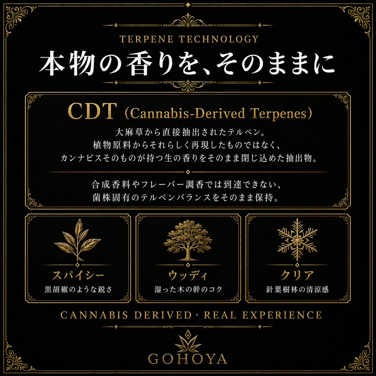 Amazon | 【正規品】【GOHOYA】H4CBH HHBDリキッド 1ml 510規格 thc