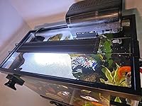 Review Image by MikePhilbrook MikePhilbrook