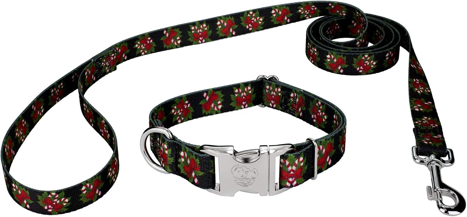 Country Brook Petz Premium Black Candy Cane Dog Collar