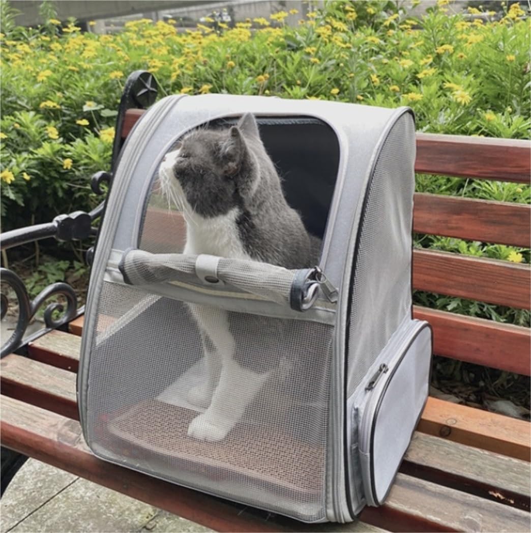 Rucksack Von Der Fluggesellschaft Zugelassener Katzen-Rucksack, Zusammenklappbarer Hunde-Tragerucksack, Katzen-Reisetrage Mit Stauraum Haustier(B)