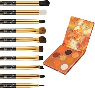 docolor Juego de 10 brochas de maquillaje de ...