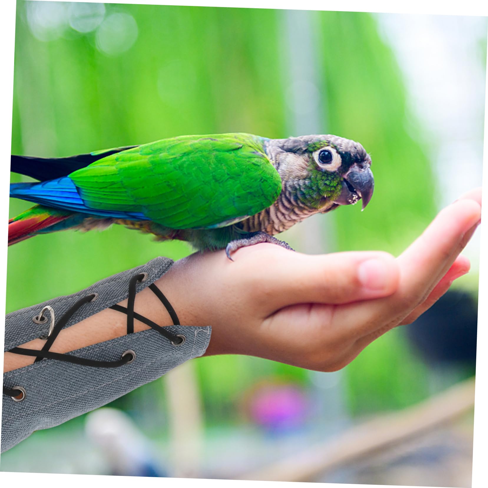 Hohopeti Pet Bird Parrot Parakeet Anti Scratch Arm Hand Protector Bird Accessory for Comfort and Safety While Handling Birds Ideal for Bird Toys and Parrot Perch Use - Image 3