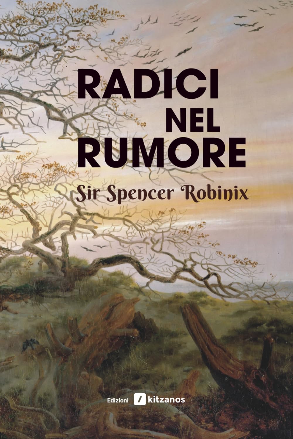 Radici nel rumore (Spencer Robinix)