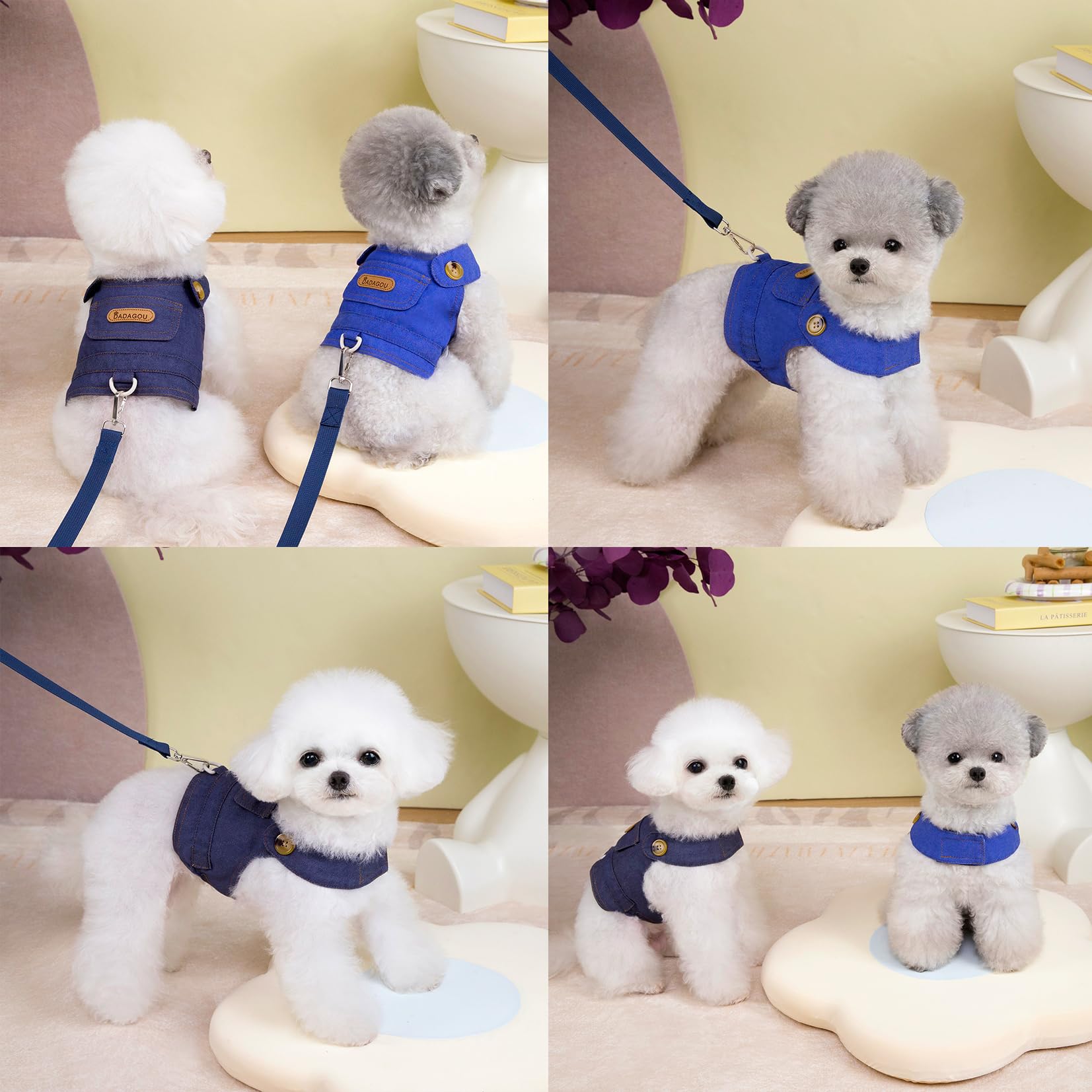 View 6