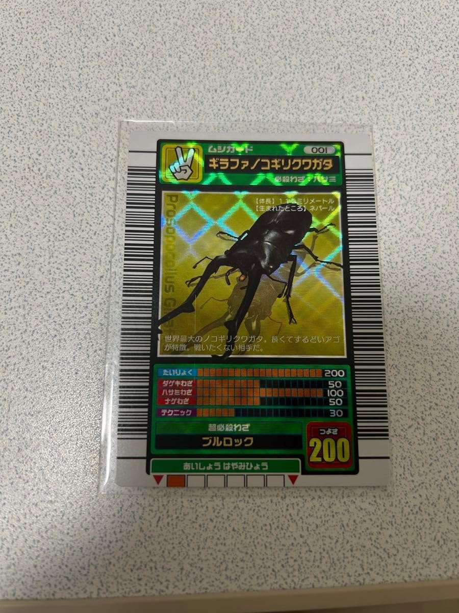 シラフ　メレアグリス　ゴライアスオオツノハナムグリ Amazon.co.jp: ゴライアスオオツノハナムグリ 4種 フルコンプ