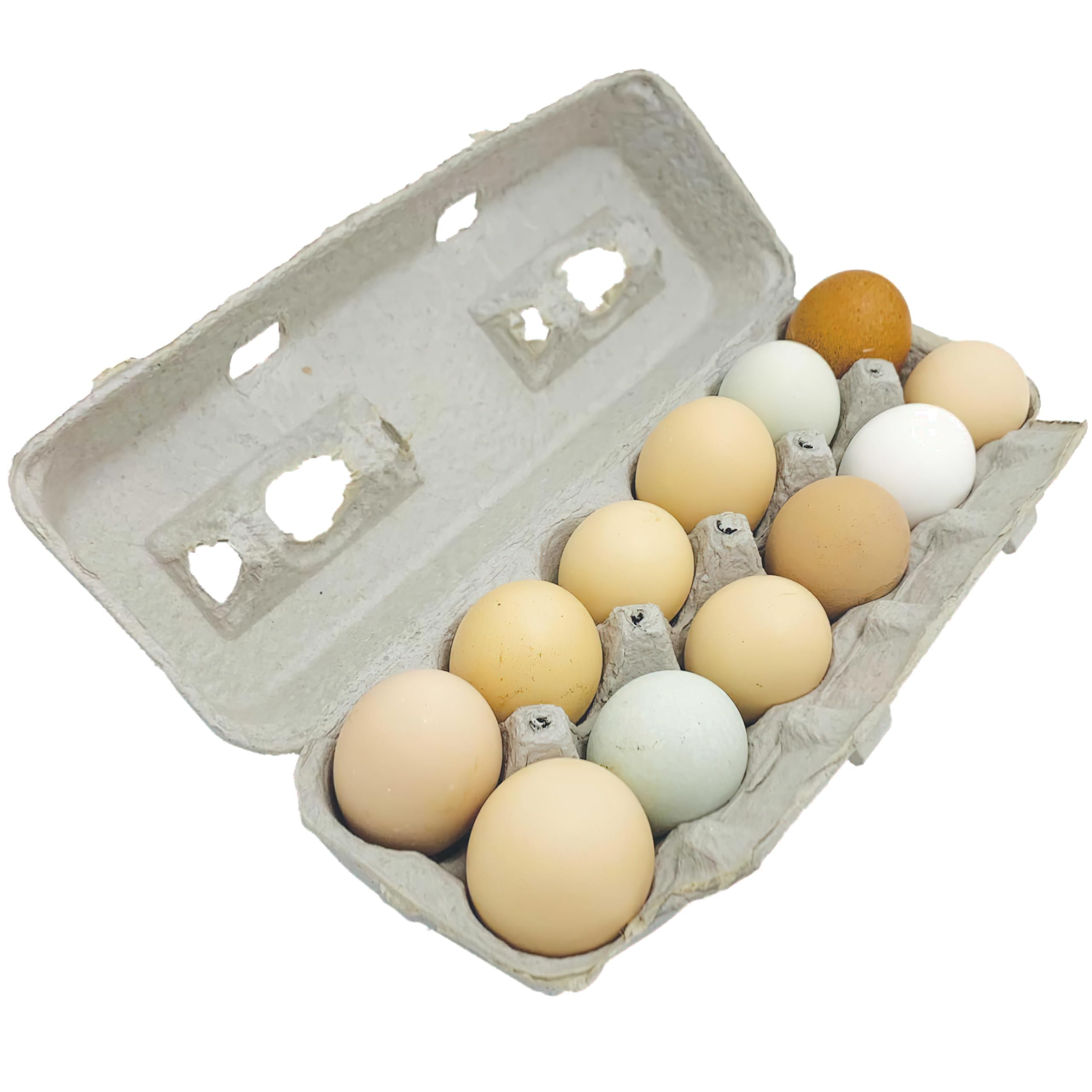 Stromberg's Large Blank Egg Cartons, Bulk Pack for Large Eggs, Perfect for Custom Branding, Safe & Secure Egg Storage, Convenient Stacking for Easy Transport, 125 Pack