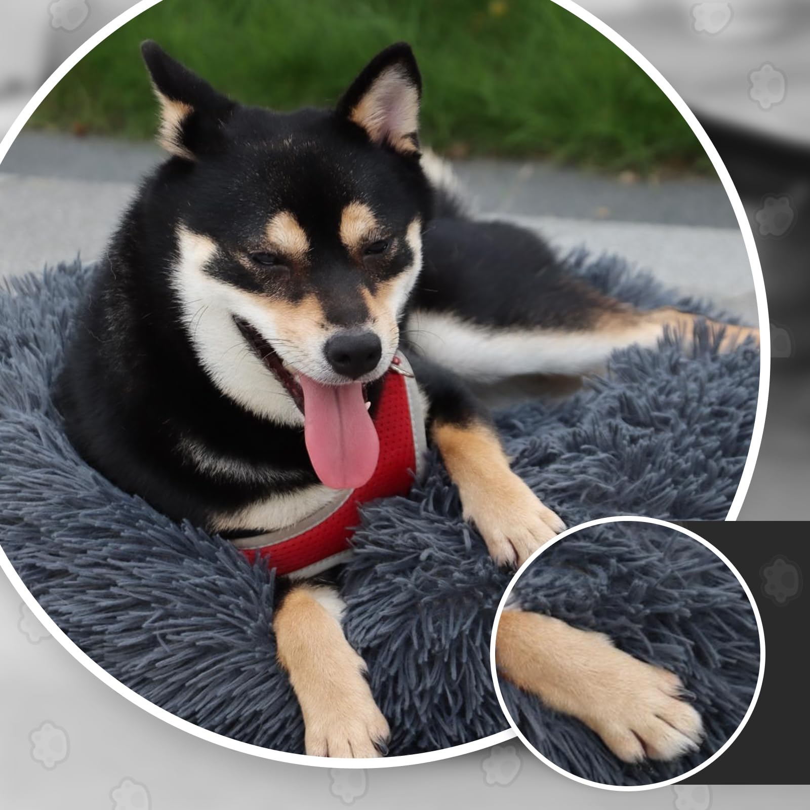 MDDK DY Cuccia Cane Interno, Cuccia Gatto Morbido Lavabile e Confortevole, Cuscino Cane Taglia Media e Grande,Letto Per Gatti e Cani Domestici a Ciambella (70 * 23CM Grigio Scuro)