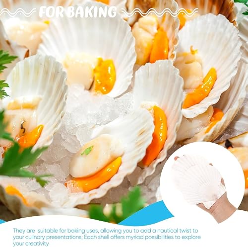 Miniatura 6 de 50 piezas de conchas marinas para manualidades, conchas de ostras blancas de vieira grandes naturales a granel para decorar el hogar, playa, boda,