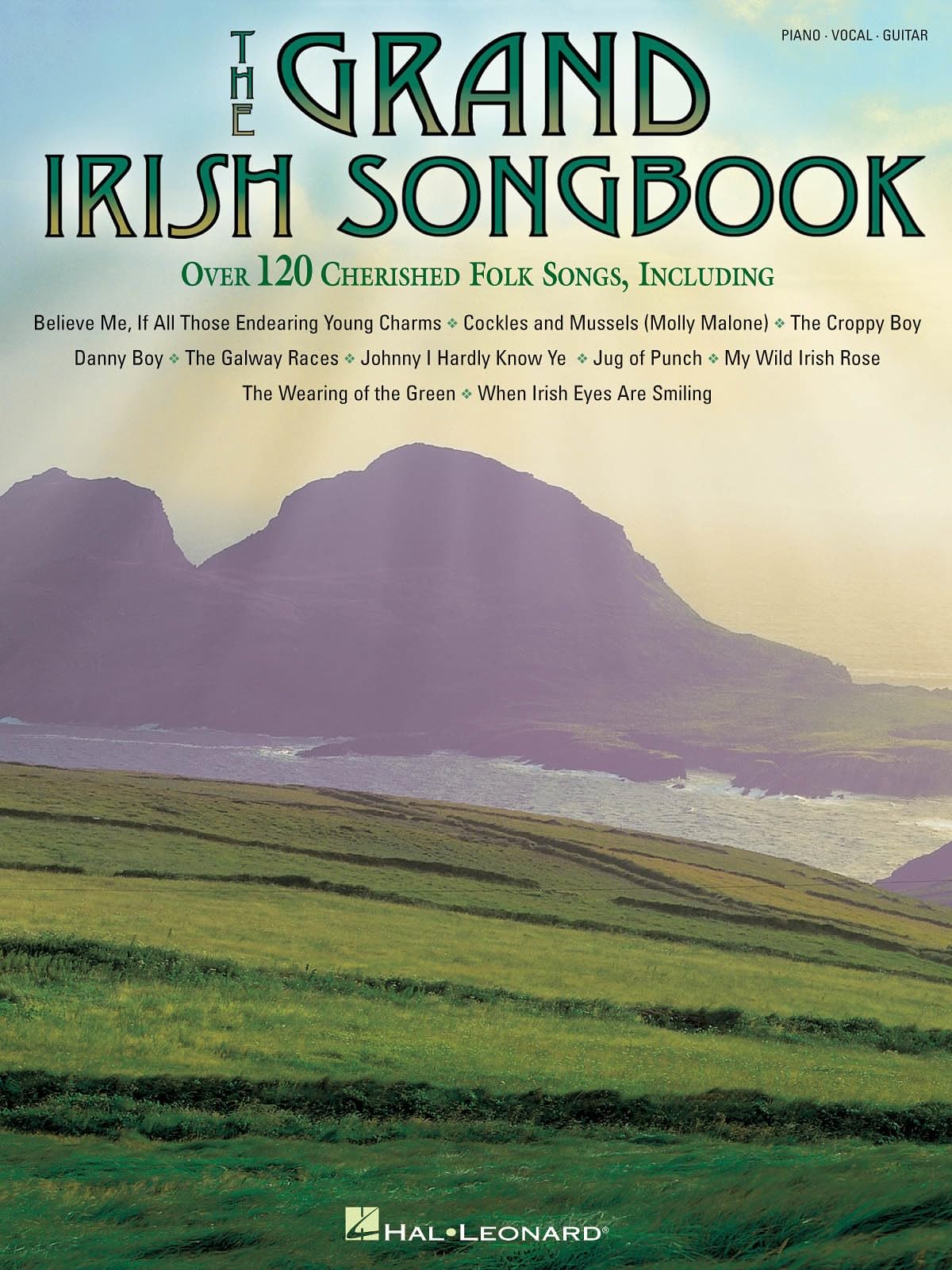 The Grand Irish Songbook by   - 9781423411352