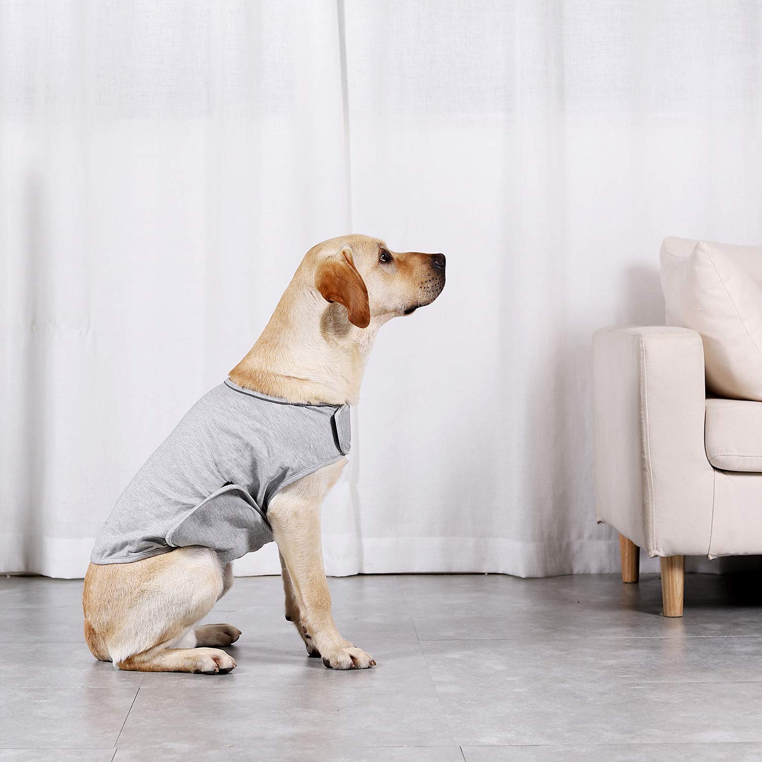 Anxiety Mantel für Hunde, leichte Wickelweste, Hunde-Angstjacke, verwendet zur sofortigen Therapie für Überspannung bei Blitzlicht und Feuerwerk, um beruhigenden Komfort zu halten, L, grau