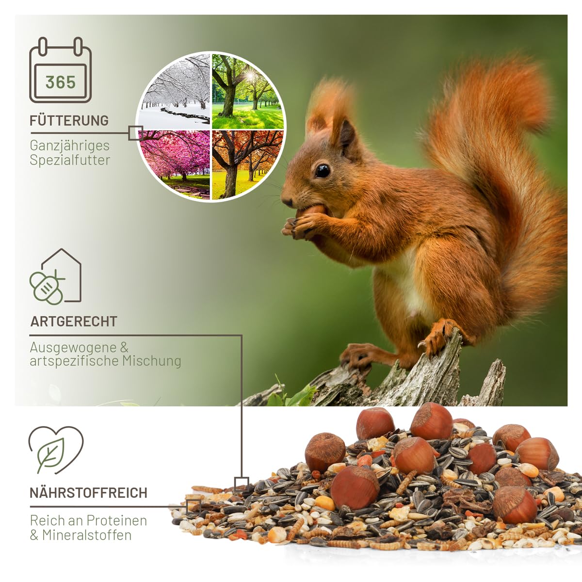 wildtier liebe Odpowiednia karma dla wiewiórek 2 kg dla wiewiórek i wiewiórek pasmowych I karma całoroczna wraz z ekstra deserem wiewiórki 50 g I karma wiewiórki, wiewiórki