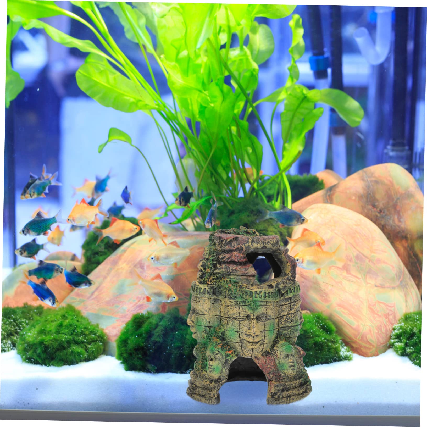 Suplemento para Terrarios Decoración De Resina Cueva para Reptiles Vívidos