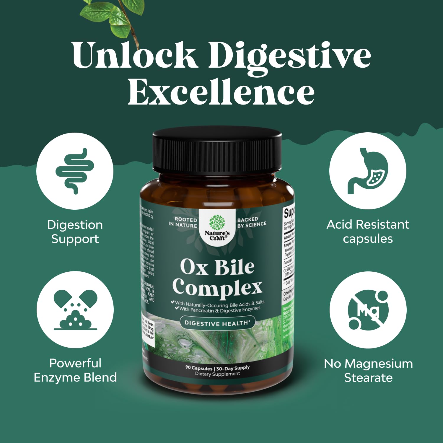 Ox Bile Supplements for No Gallbladder, Bile Salts, Digestive Enzymes -90ct — Amazon image 4
