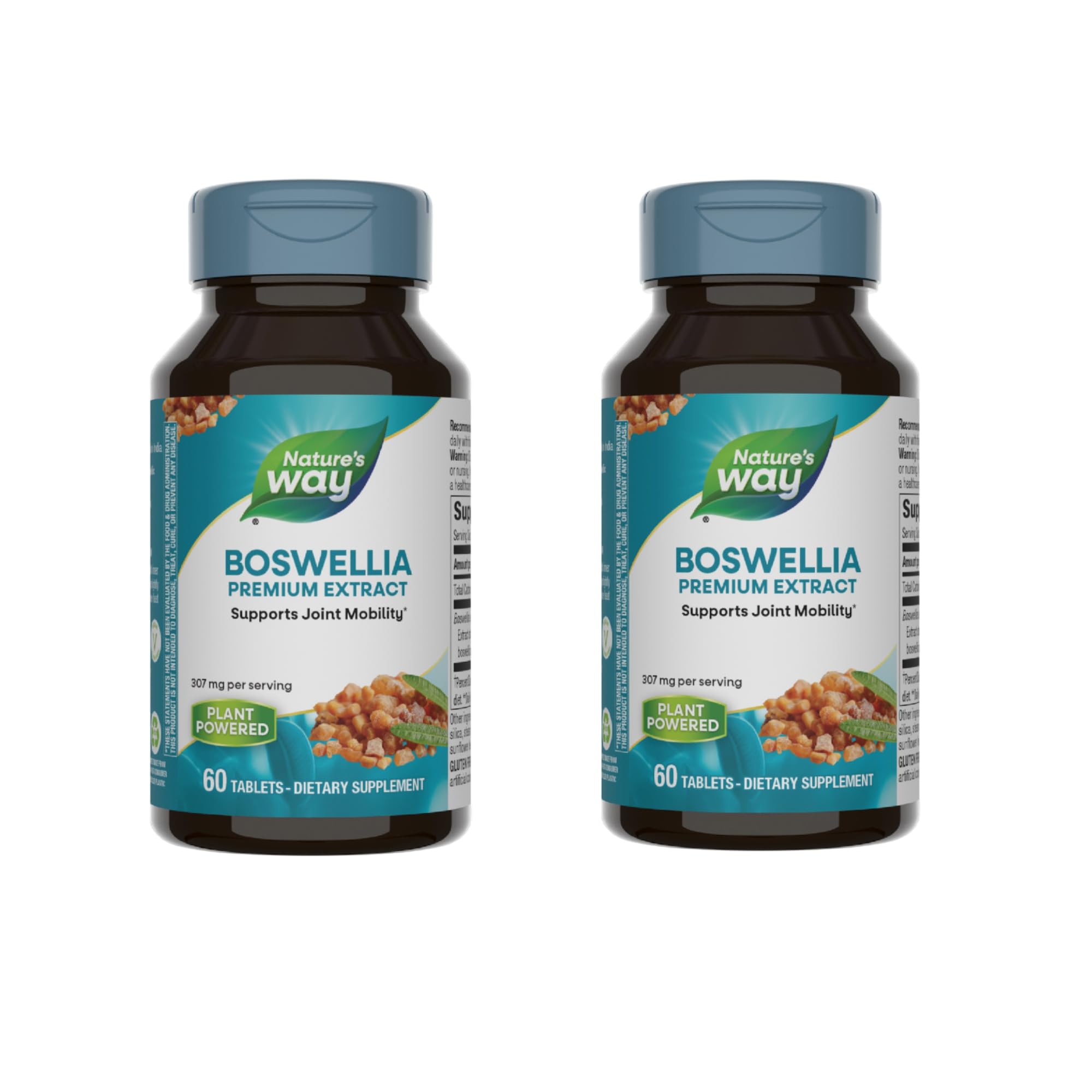 Nature's Way Boswellia Premium