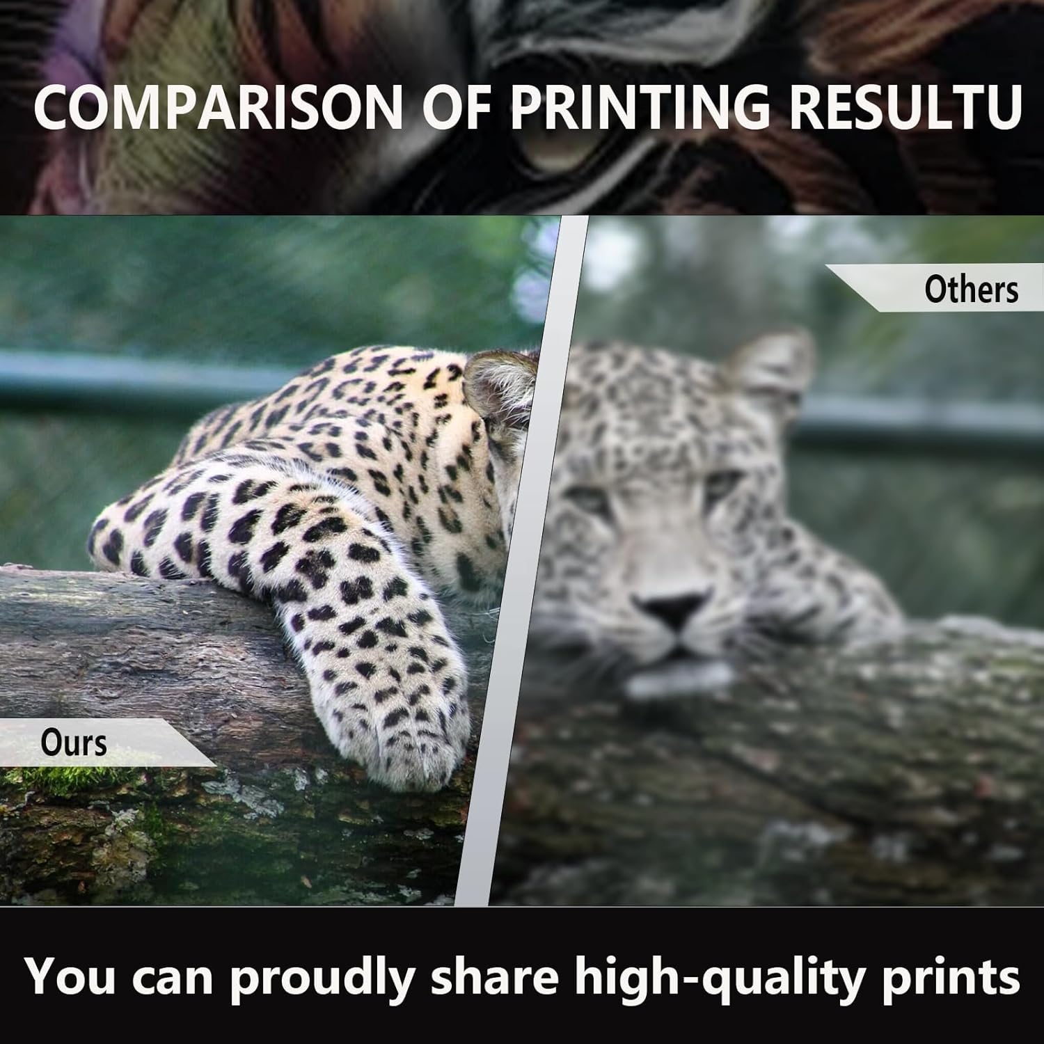 364XL Ink Cartridges Compatible for HP 364 XL for HP Photosmart B8550 B8553 B8558 C6380 C6383 C5324 5510 5511 Printers (1Black, 1PBlack, 1 Cyan, 1 Magenta, 1 Yellow)