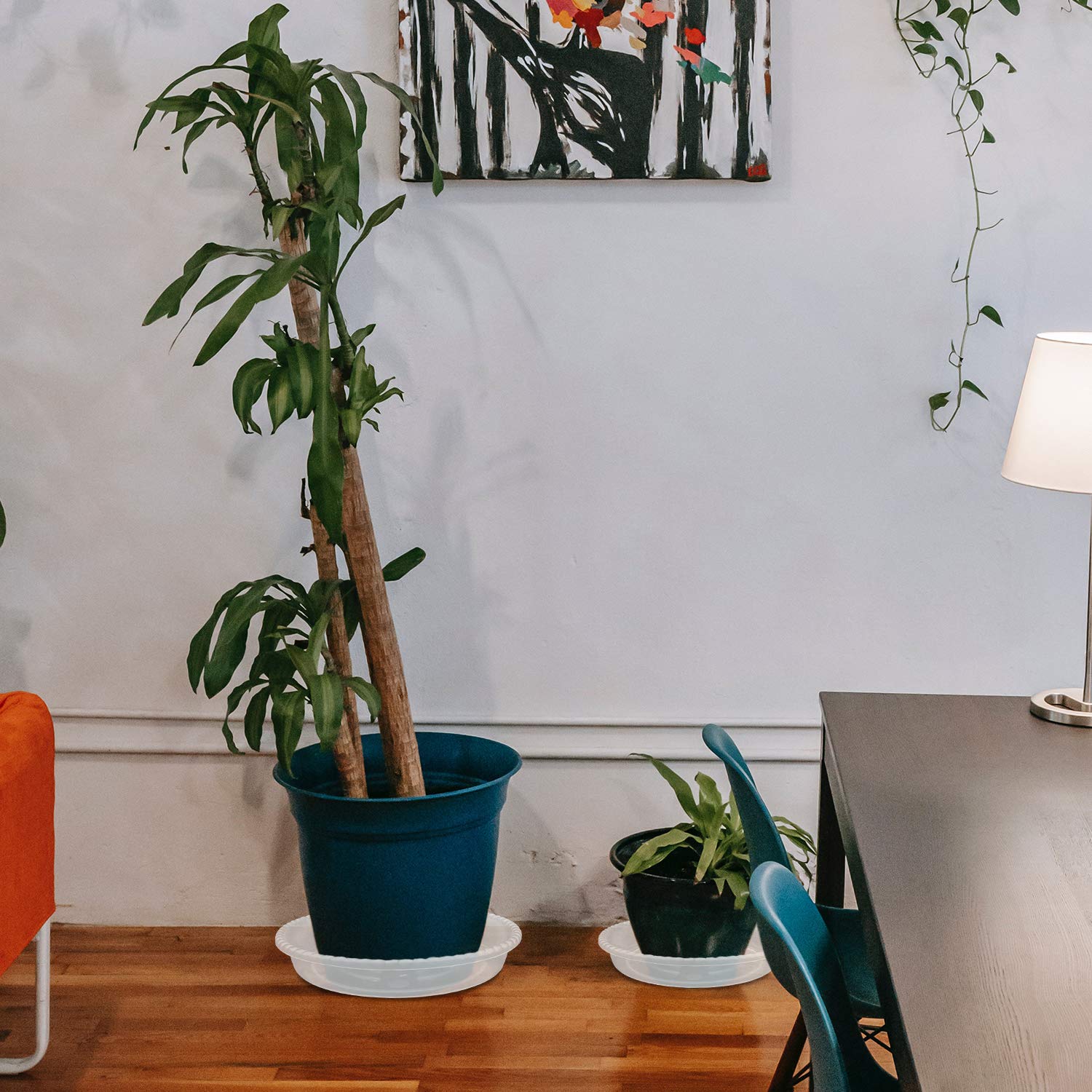 Buy Lainrrew Plant Saucer, 18 Pcs Clear Plant Trays Plastic Plant Pot