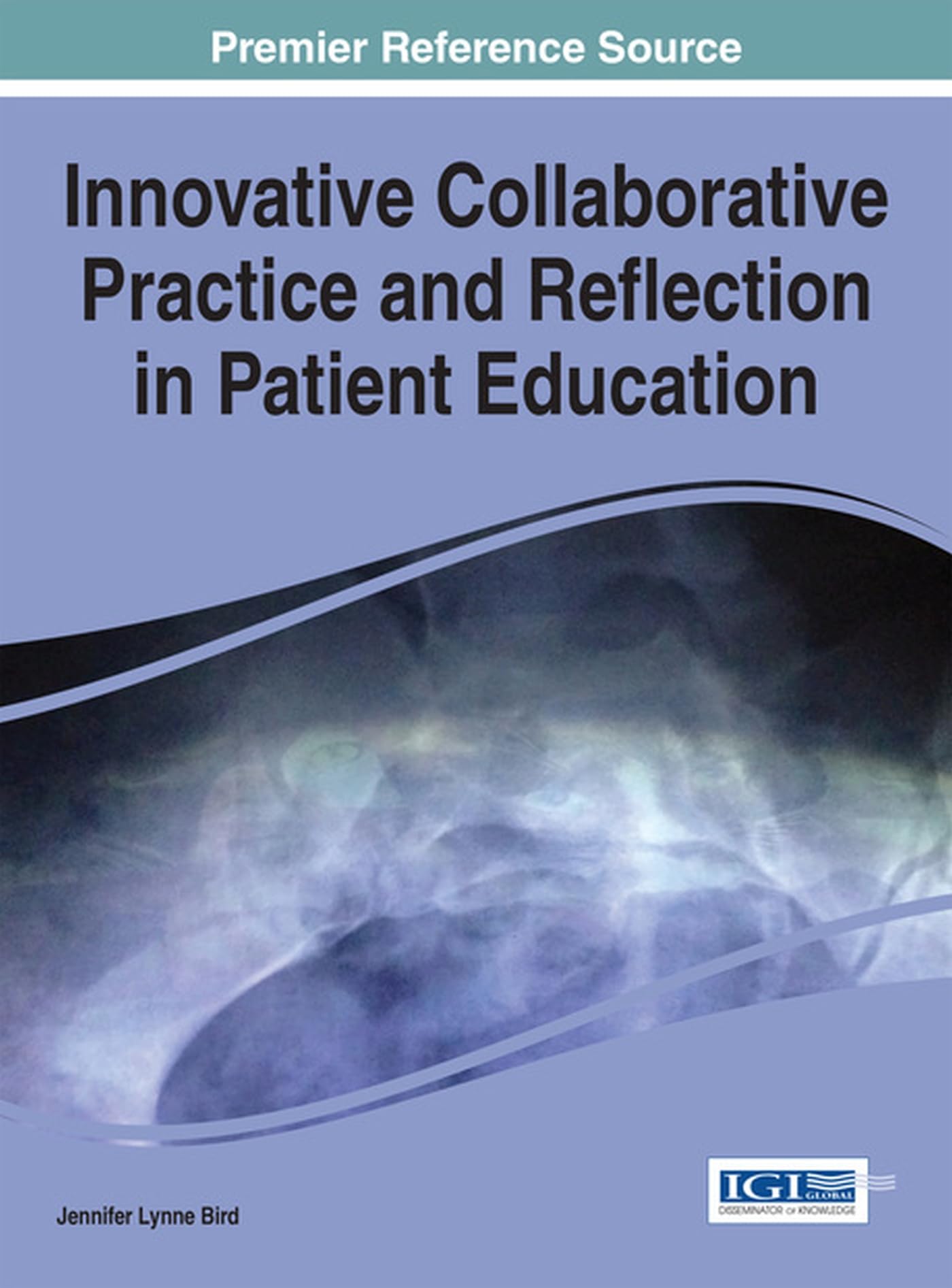 Buy Innovative Collaborative Practice and Reflection in Patient Education (Advances in Human Services and Public Health:) — BookShops.in