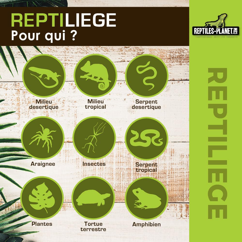 Reptiles Planet - Reptiliège - Assortiment de Liège pour Décoration de Terrarium - 10 litres