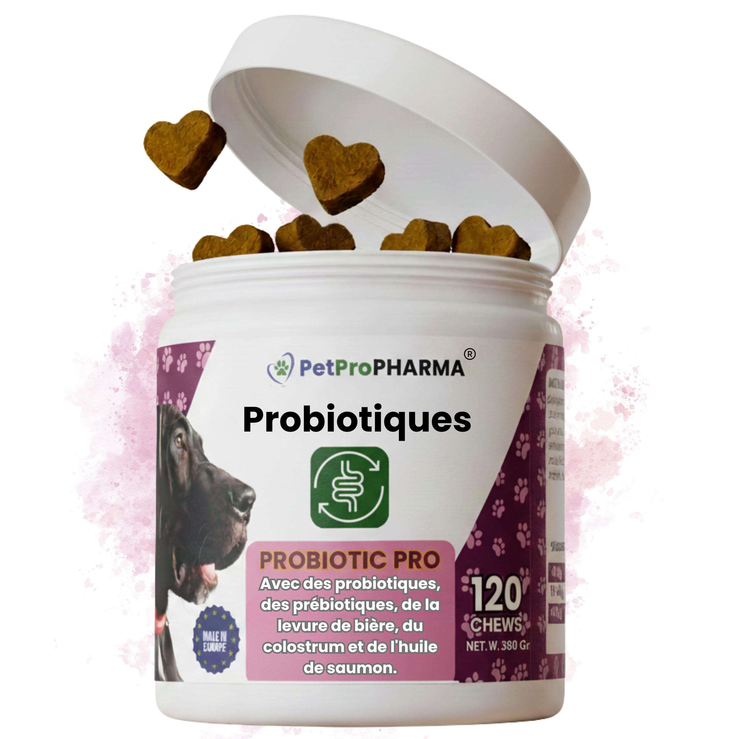 Probiotique Chien et Chat – Souches Actives + Prébiotiques Naturels | Flore Intestinale, Digestion, Selles Régulières, Immunité Renforcée | Complément Digestion & Santé Intestinale