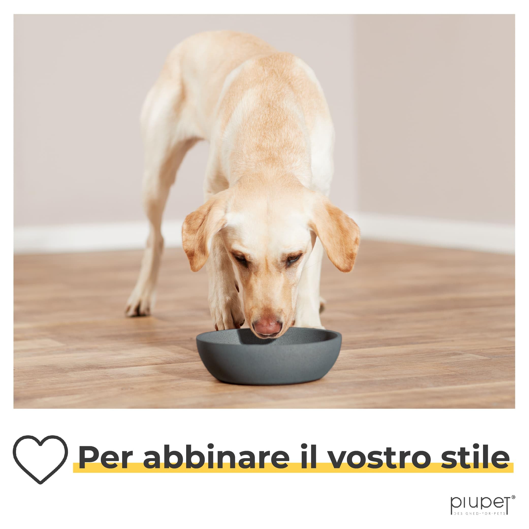 PiuPet® Ciotola per Cani 2X 1L Grigio Lavabile in Lavastoviglie 17,5 cm di Diametro | Ciotole per Cani Grandi e Piccoli