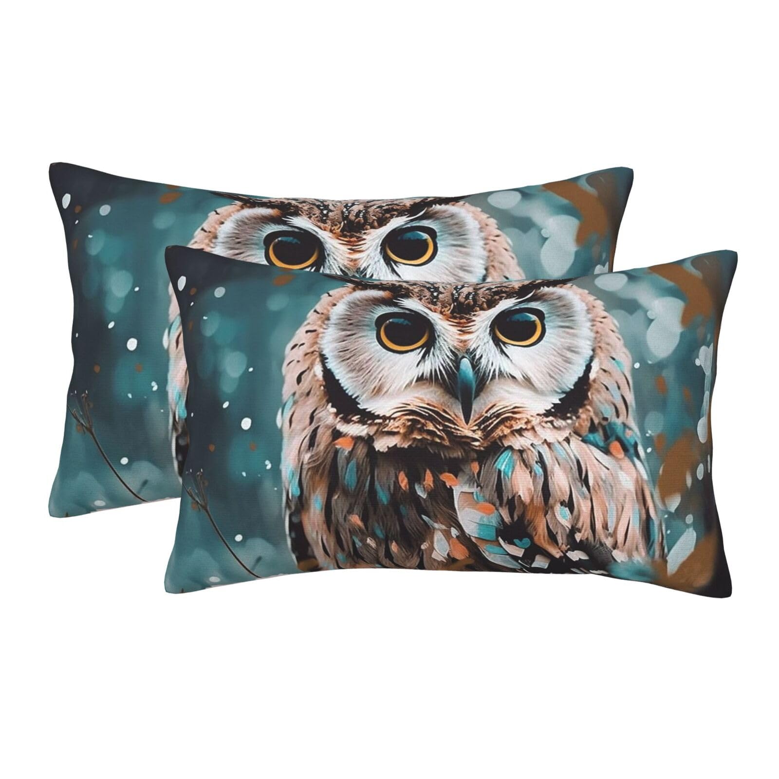 2 Pack Pillow Cases with Hidden Zipper, Soft Breathable Pillow Covers for Hair and Skin, Animal Cute owl Pillowcases 20"x30" Bed Pillow Protectors Cover for Sleeping Gifts
