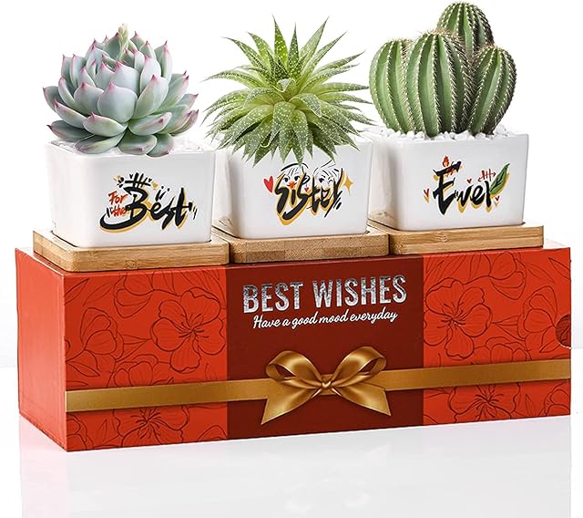 UtauHom Sister Gifts, Sisters Gifts from Sister or BrotherGift Ideas for Any Sister,Best Sister Ever Succulent Pots are Unique Gifts for Sister/WomenPerfect for ChristmasBirthday