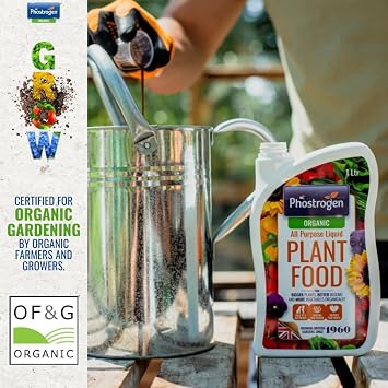 Phostrogen Organic All Purpose Liquid Plant Food, 1L - All Purpose Organic Fertiliser - Enriched with Seaweed Extract for Healthy Growth - More Vegetables, Brighter Blooms - Plant Nutrition