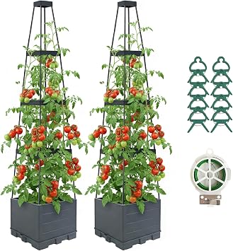 2 Pack Raised Garden Bed Planter Box with Trellis, 58Tomato Planter with Trellis for Climbing Plants Vegetables Vine Flowers, Self-Watering Tomato Cage for Garden Patio Outdoor & Indoor