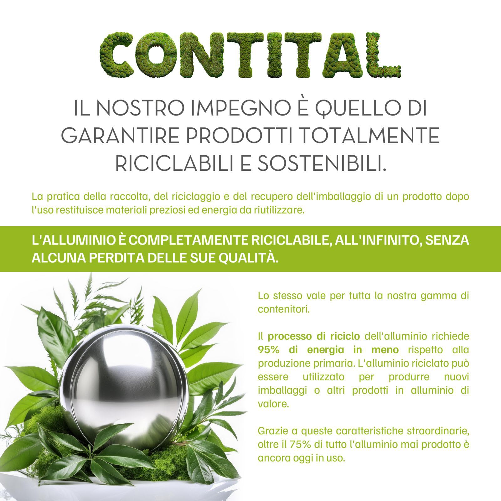 CONTITAL Rotolo Alluminio Professionale per Alimenti | 30 cm x 100 mt | Accessori Cucina, Carta Stagnola Alimenti, Rotolo Alluminio Cucina con Astuccio