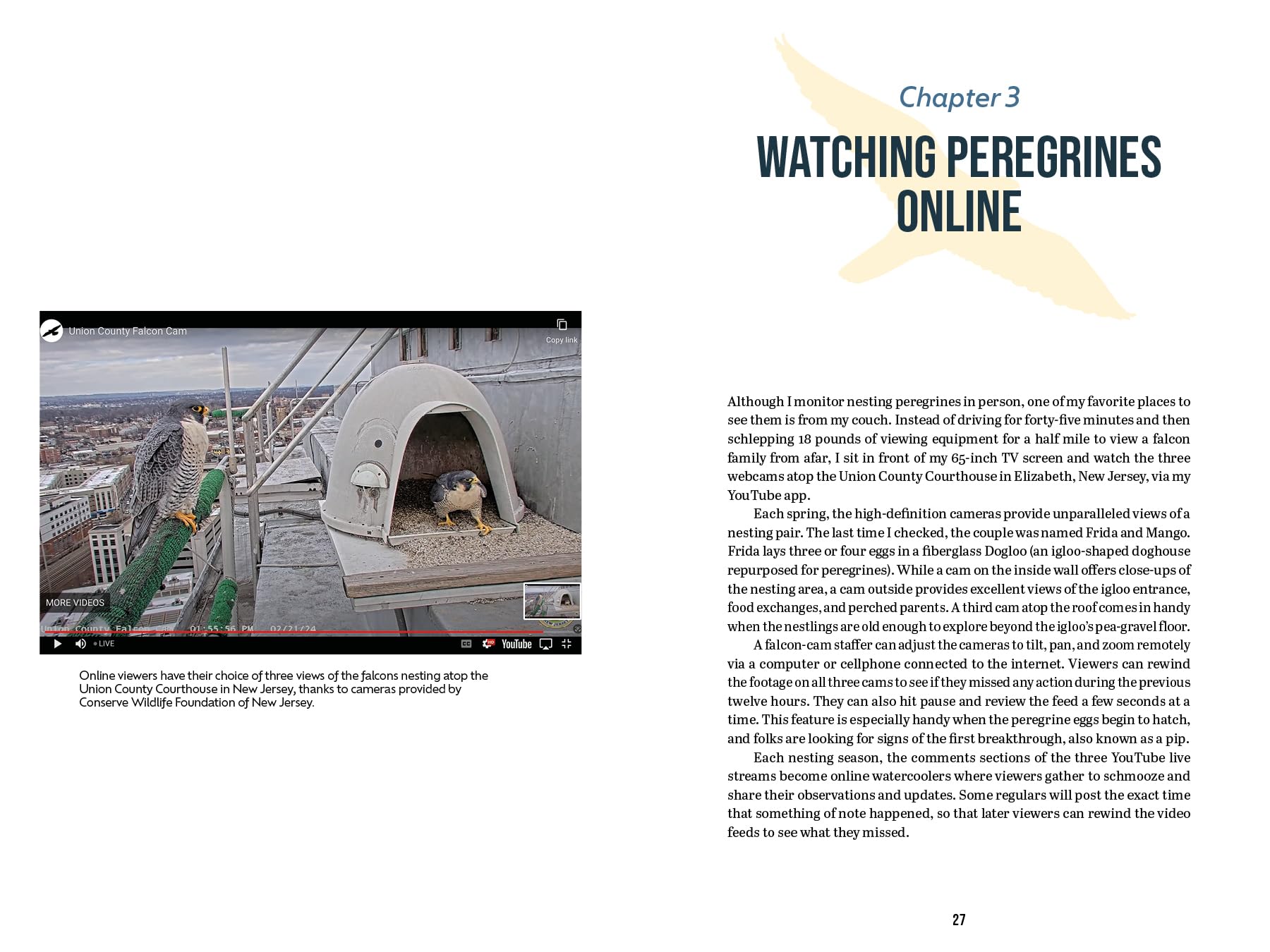 The Peregrine Falcon: The Epic Life and Times of the World's Fastest Creature