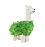 Chia Pets have come a long way! There are literally hundreds of styles to choose from. I like this llama!
