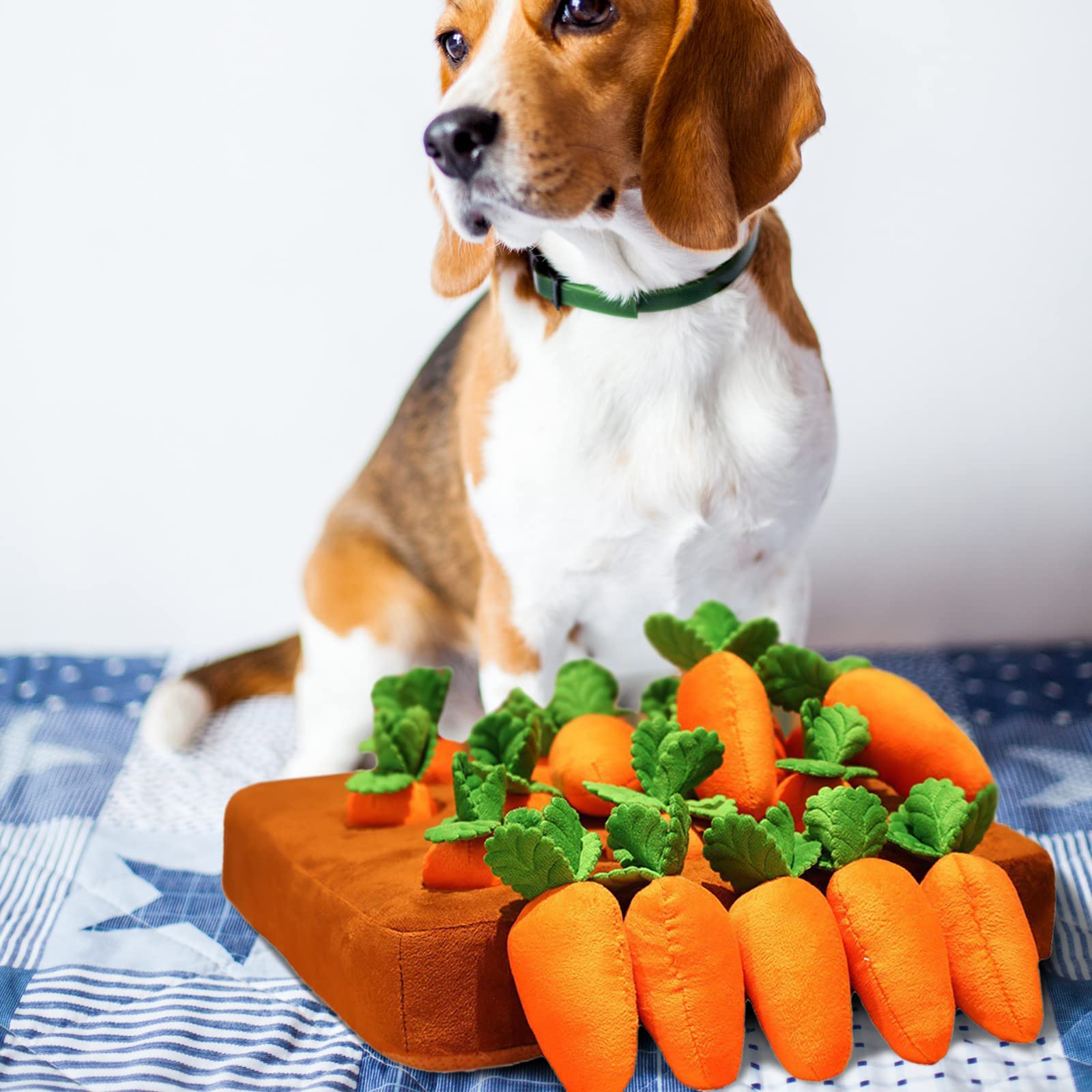 Quietschendes Hundespielzeug-Set – 13 Stück Karotten & Früchte Für Welpen Und Kleine Hunde