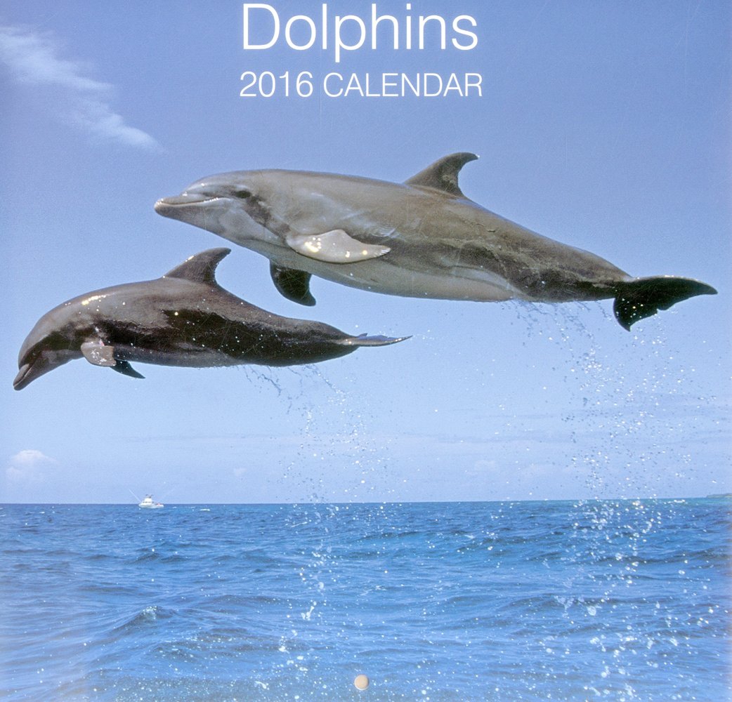 2016 Calendar: Dolphins: Peony Press: 9780754831068: Amazon.com: Books