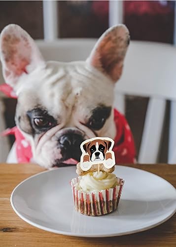 Miniatura 4 de Juego de 24 adornos para cupcakes para cachorros, adopción para mascotas, fiesta de cumpleaños, suministros de decoración de pasteles