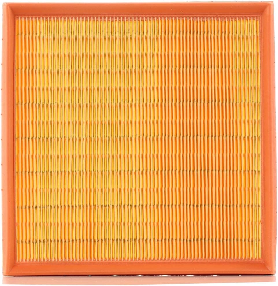 Mann Filter Mann-Filter C 2493 Air Filter