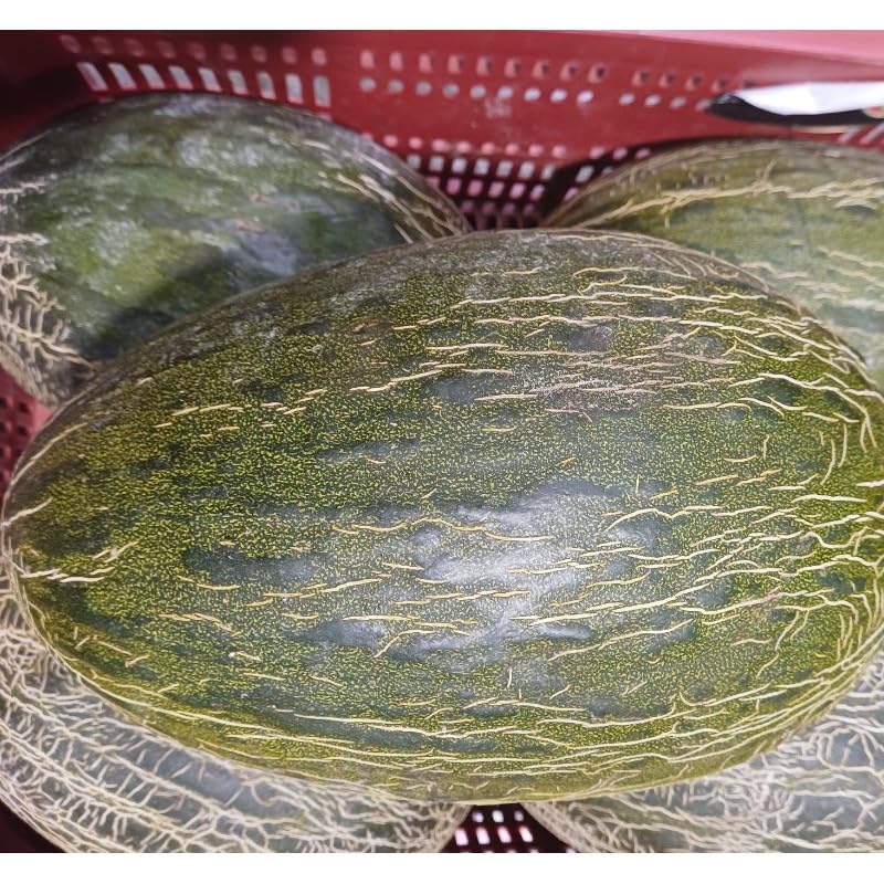 Melón piel de sapo 3 unidades sobre 2'5 Kg cada uno