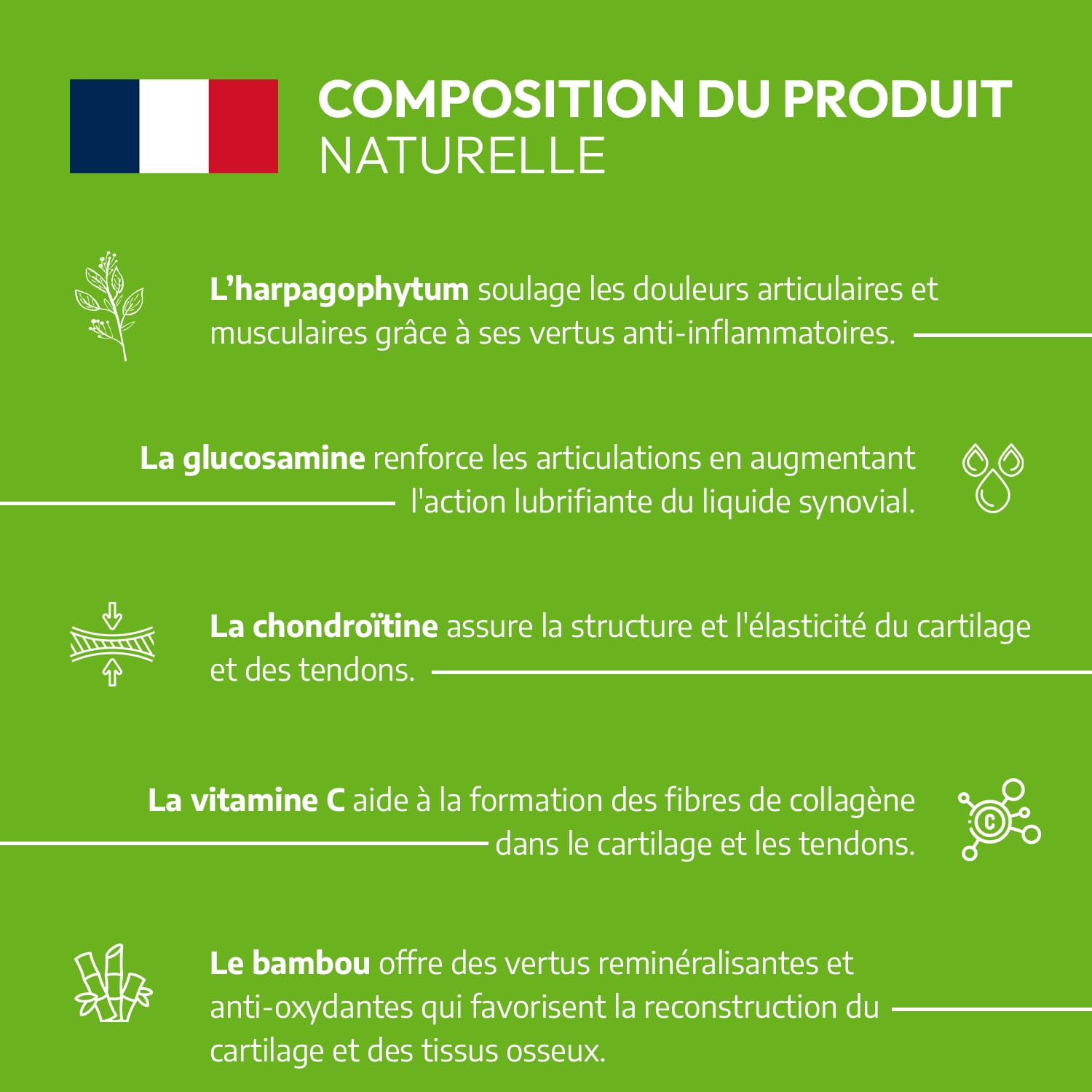 Articulations Chien - 120 comprimés naturels - Arthrose Chien - Anti-inflammatoire - Actifs agréés par Les Services vétérinaires - Fabriqué en France