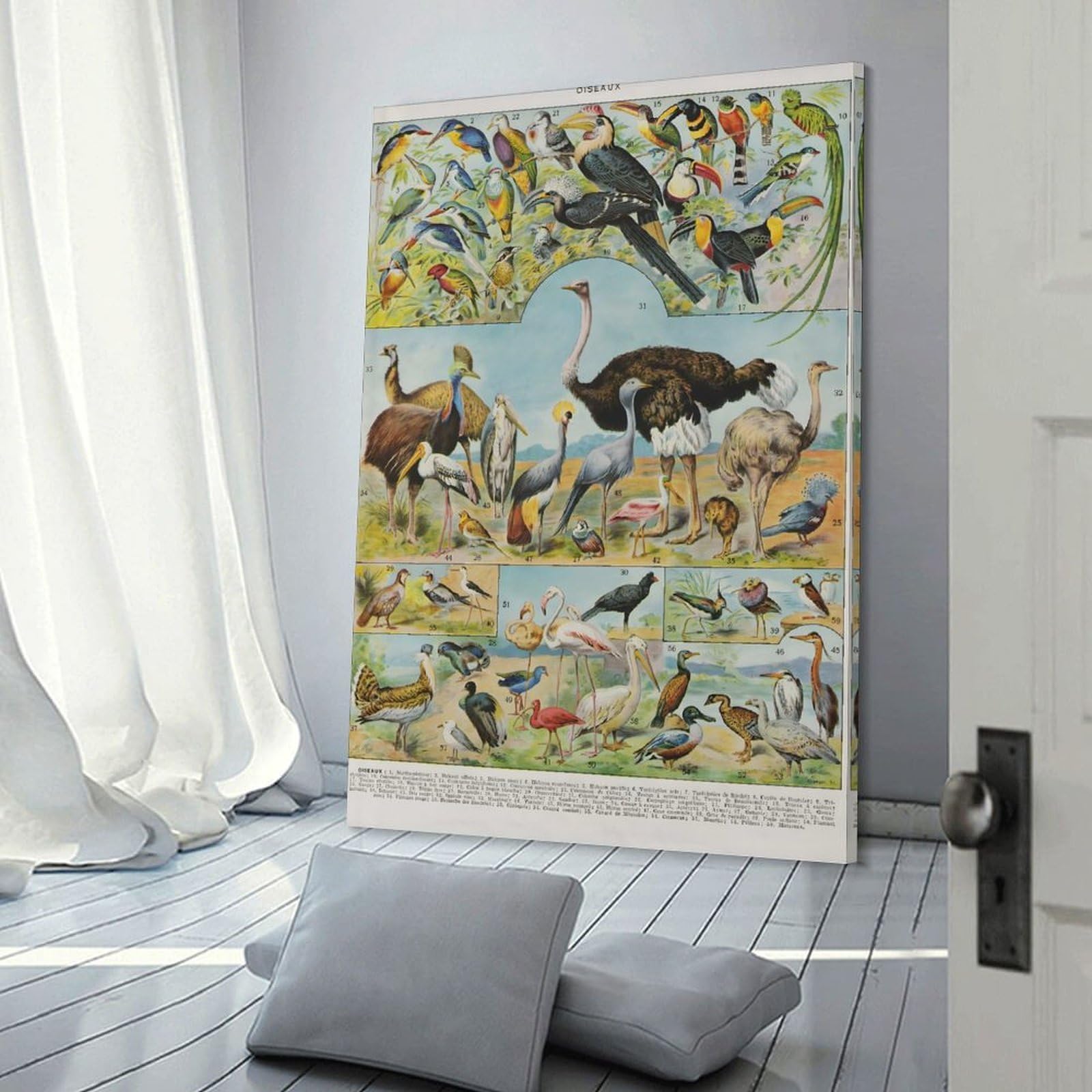 Junmoney OISEAUX Canvas Wall Decor, 20x30inch(50x75cm), for Gallery Wall Decor And Room Displays, Wall Decor Suited to Curated Displays