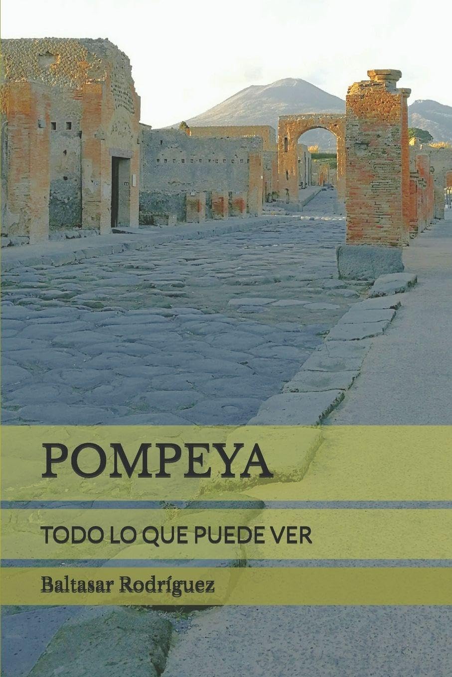 POMPEYA: TODO LO QUE PUEDE VER