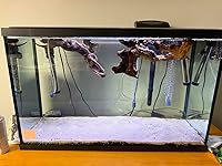 Review Image by Jeff