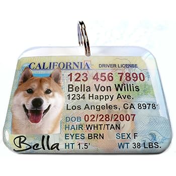 pet driver's license