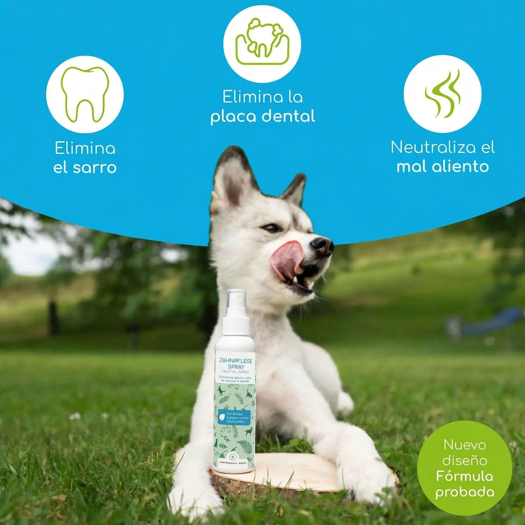 Removedor de sarro para perros y gatos – Spray dental natural para limpieza sin cepillo – Elimina sarro y reduce mal aliento – Aliento fresco con menta 150 ml