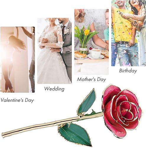 Miniatura 7 de Ejoyous Regalo de rosa para el día de la madre para mamá, rosa sumergida en oro de 24 quilates chapada en oro real preservada para siempre con