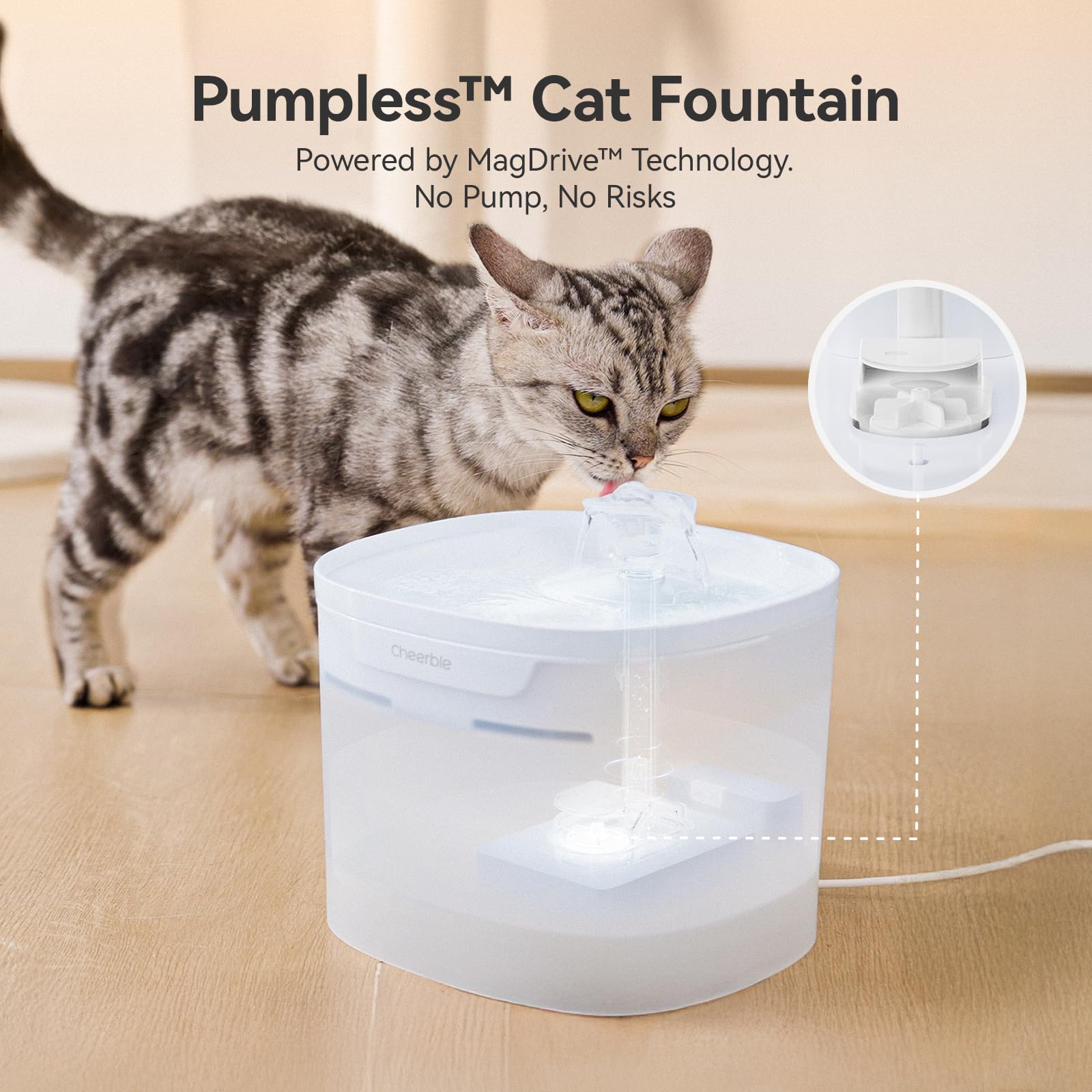 Pet Supplies : Cheerble Pumpless Cat Water Fountain, 2L/67oz