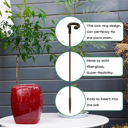 Miniatura 10 de Estacas para plantas de 17 pulgadas y 11 pulgadas de longitud ajustable, 16 piezas de palo de orquídea verde con clips para interiores y exteriores,