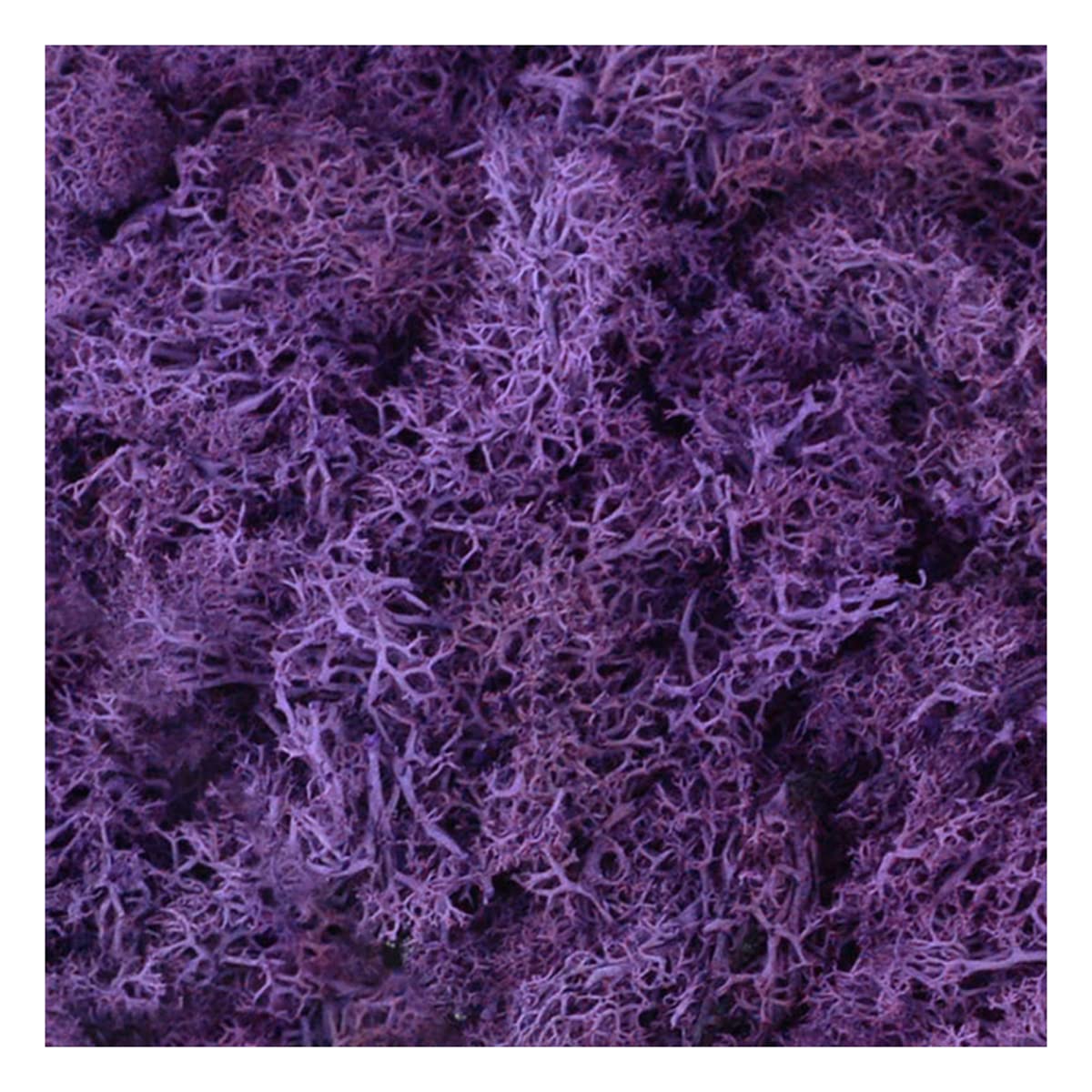 QueenBox® 40g Multi-Color Artificial Moss Fake Green Lichen Plants Imitation Decorative Moss for Home Wall Garden Outdoor, Purple