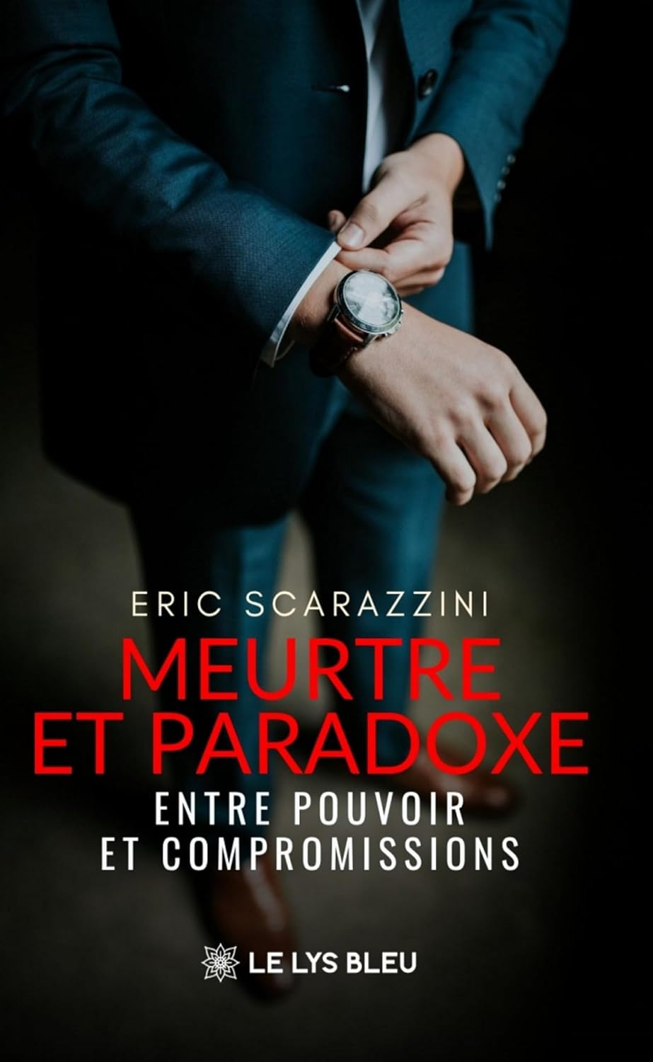 Meurtre et paradoxe: Entre pouvoir et compromissions (French Edition)